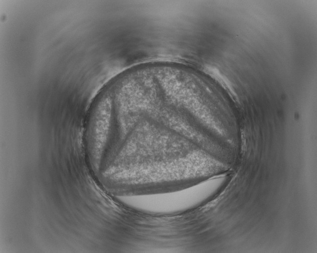 X0000088401260200706191349