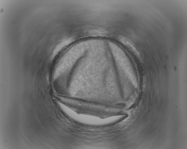 X0000088401261200706191349