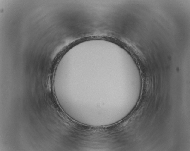 X0000088401262200706191349