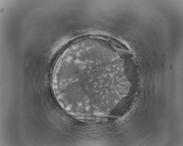 X0000088401263200706191349