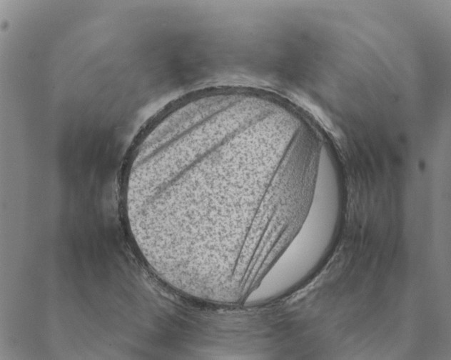 X0000088401264200706191349