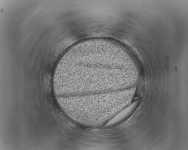 X0000088401265200706191349