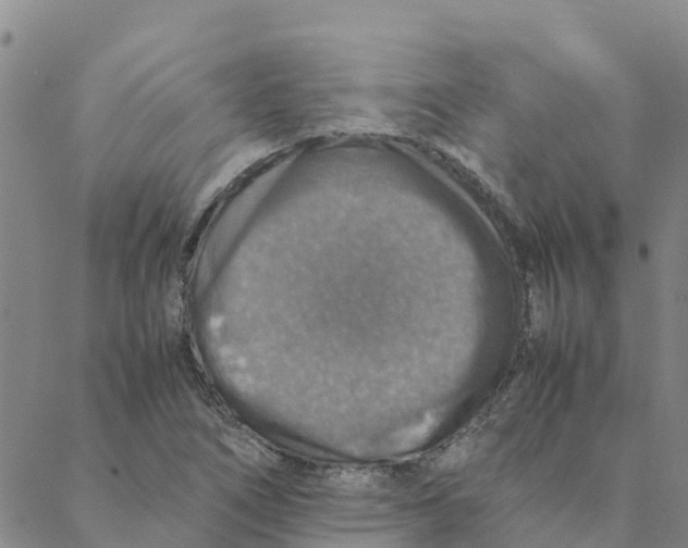 X0000088401266200706191348