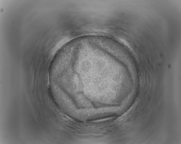 X0000088401267200706191348