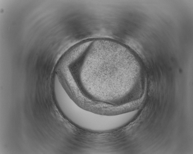 X0000088401268200706191348