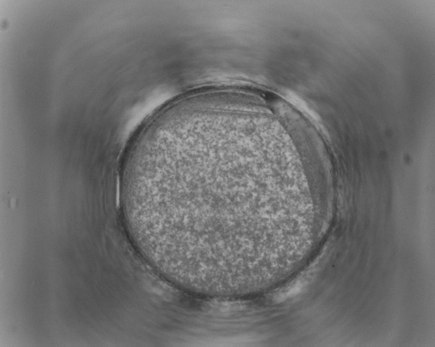 X0000088401269200706191348