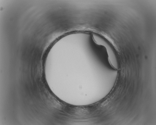 X0000088401270200706191348