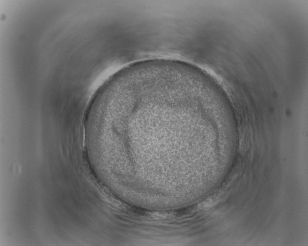 X0000088401271200706191348