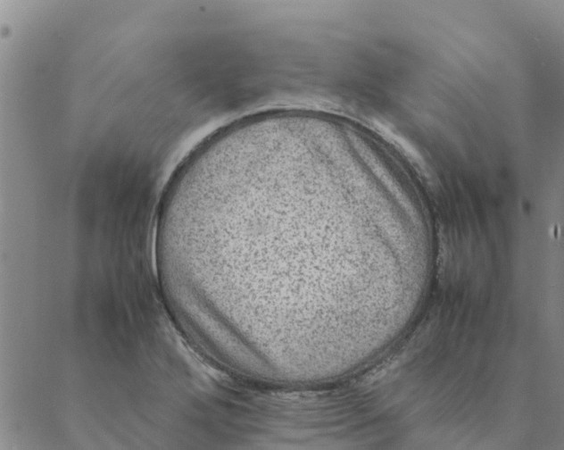 X0000088401272200706191348