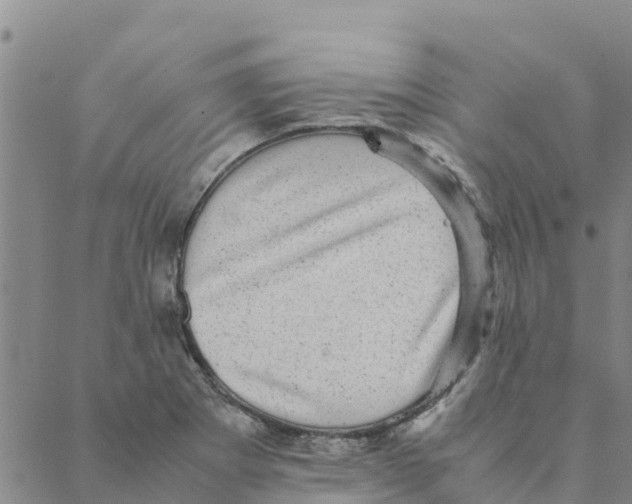 X0000088401273200706191348