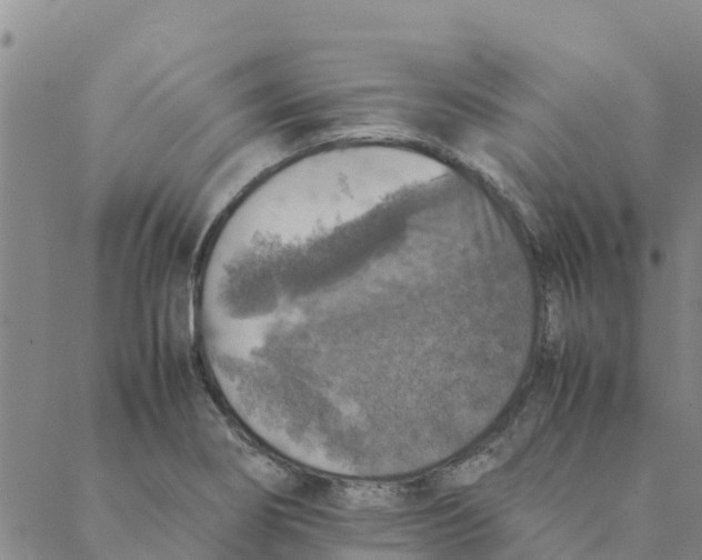 X0000088401274200706191348