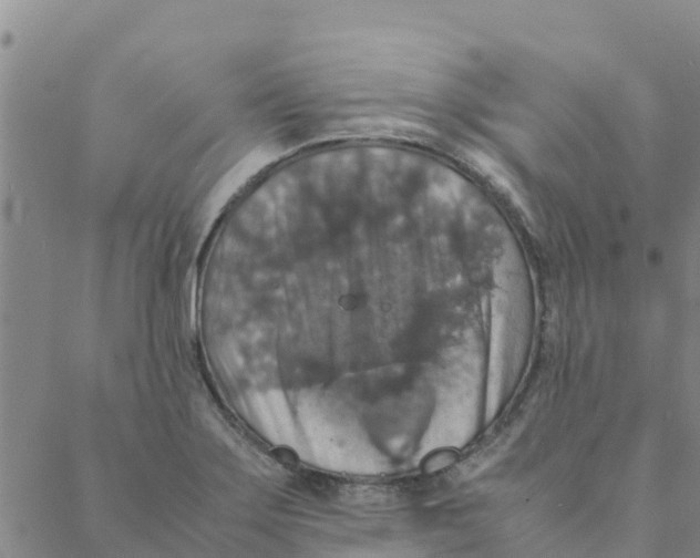 X0000088401275200706191348