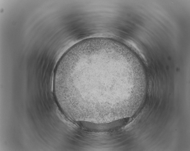 X0000088401276200706191348