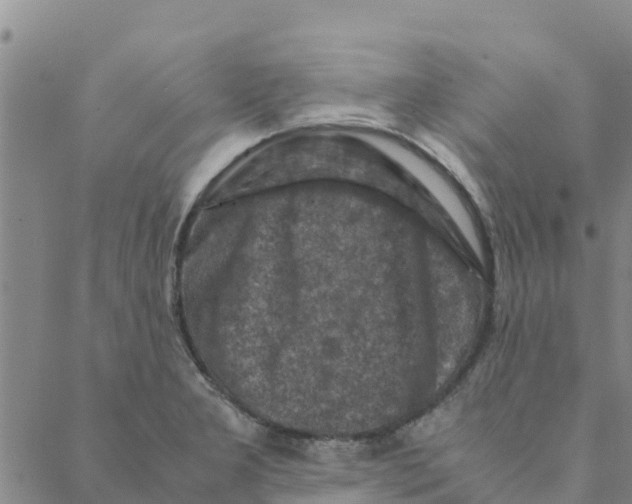 X0000088401277200706191348