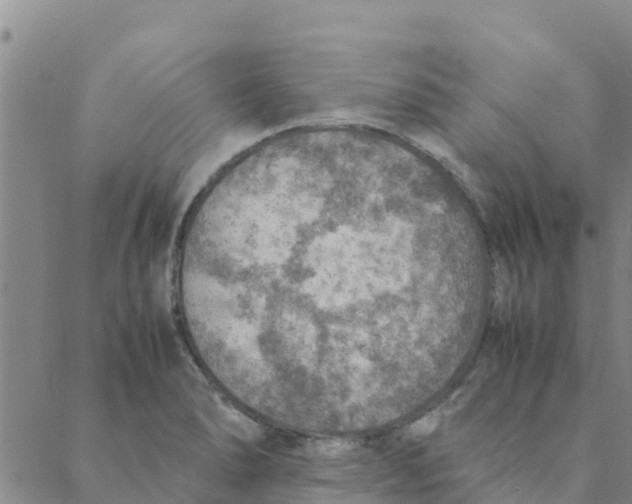 X0000088401278200706191348