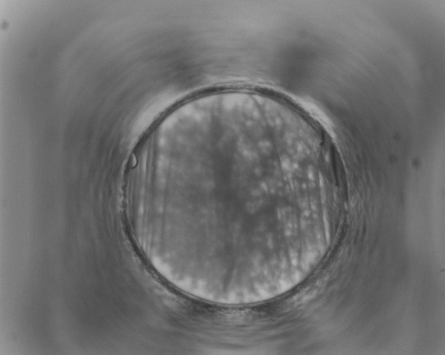 X0000088401279200706191348