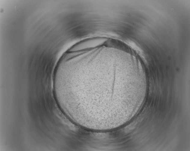 X0000088401280200706191348