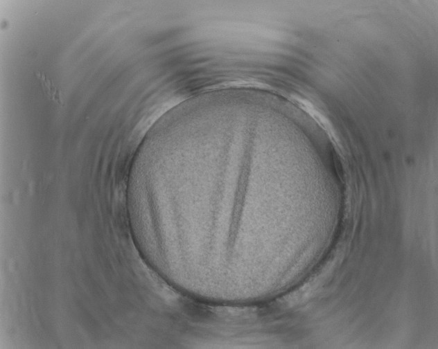 X0000088401281200706191348