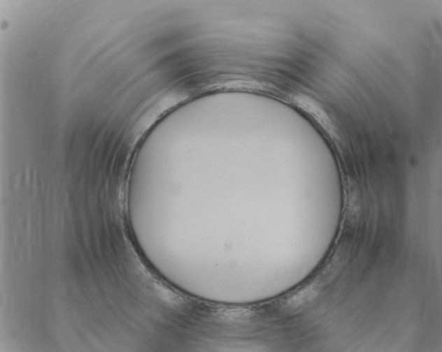 X0000088401282200706191348