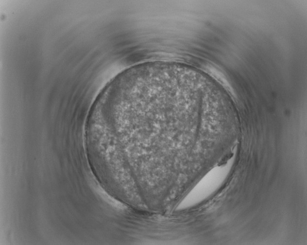 X0000088401283200706191348