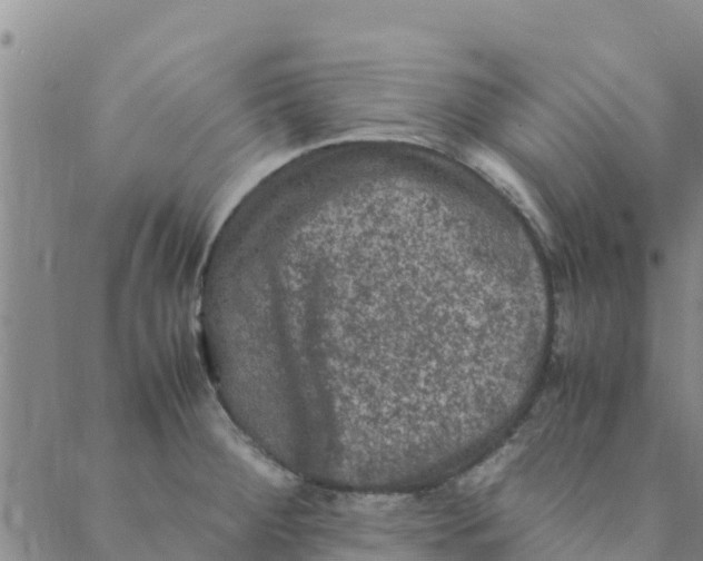 X0000088401284200706191348