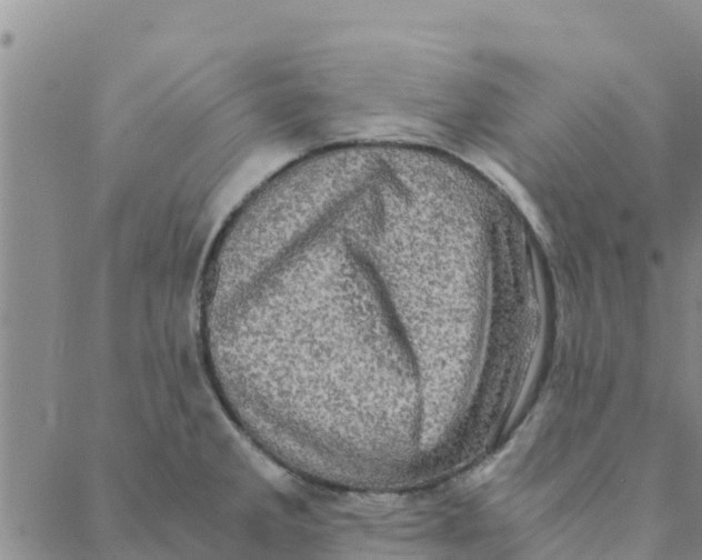 X0000088401285200706191348