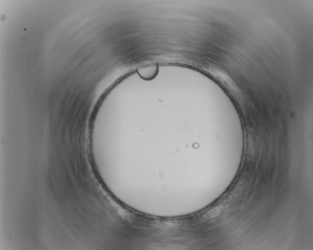 X0000088401286200706191348