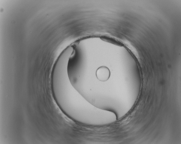 X0000088401287200706191348