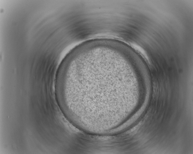 X0000088401288200706191348