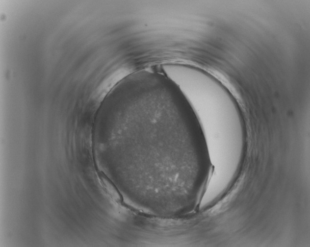 X0000088401289200706191348