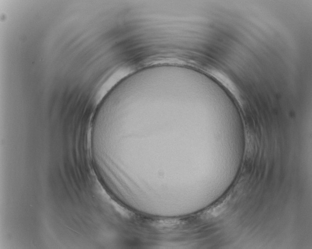 X0000088401290200706191348