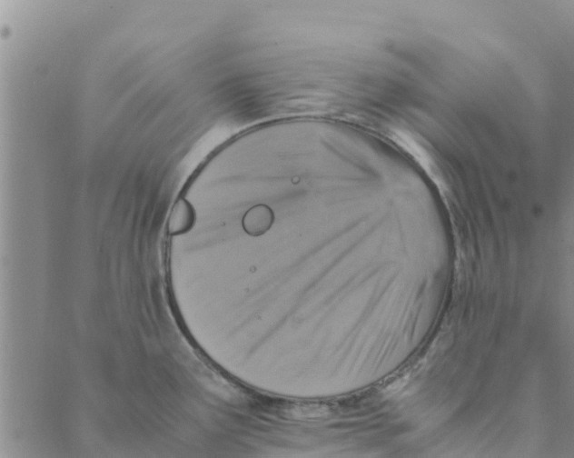 X0000088401291200706191348