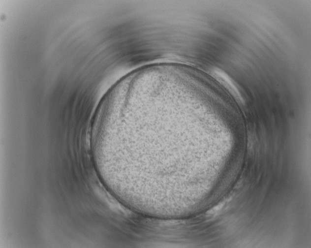 X0000088401292200706191348