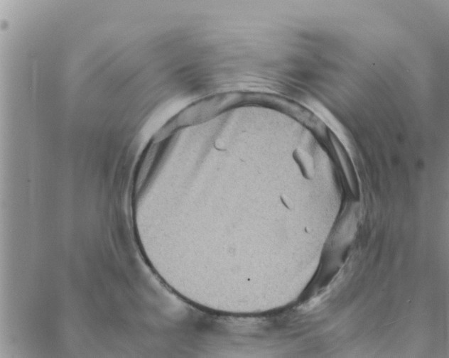 X0000088401293200706191348