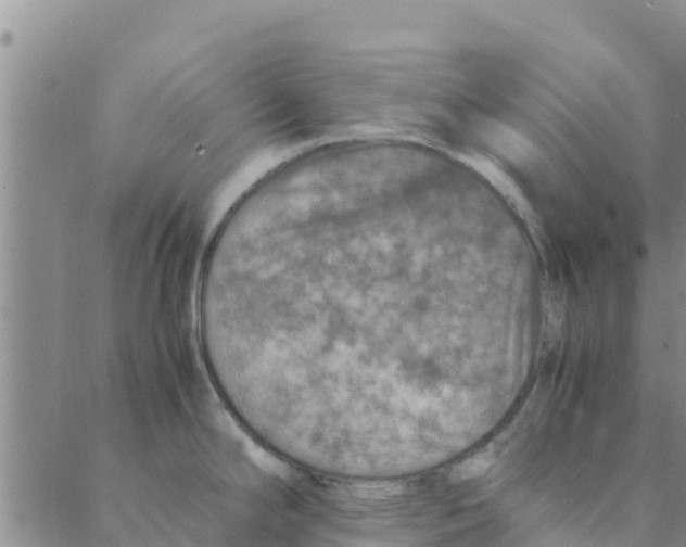 X0000088401294200706191348