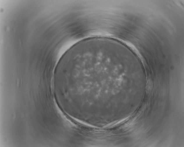 X0000088401295200706191348