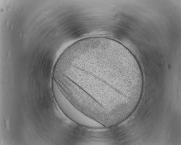 X0000088401296200706191348