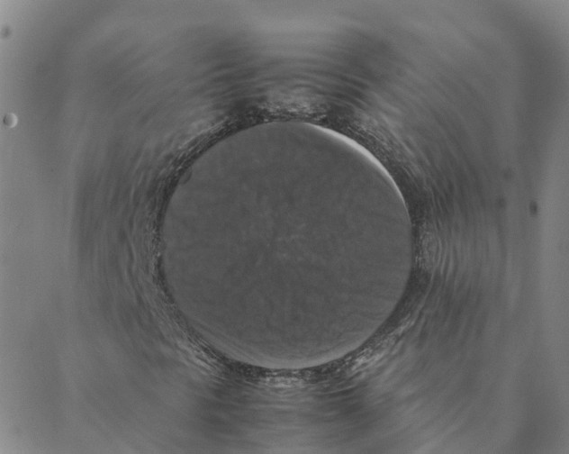 X0000088401297200706191347