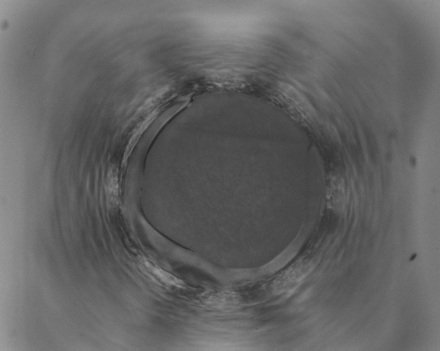 X0000088401298200706191347