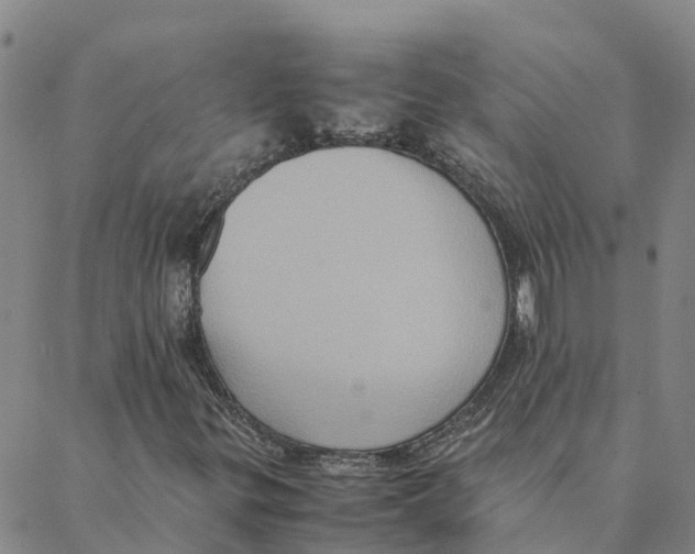 X0000088401299200706191347