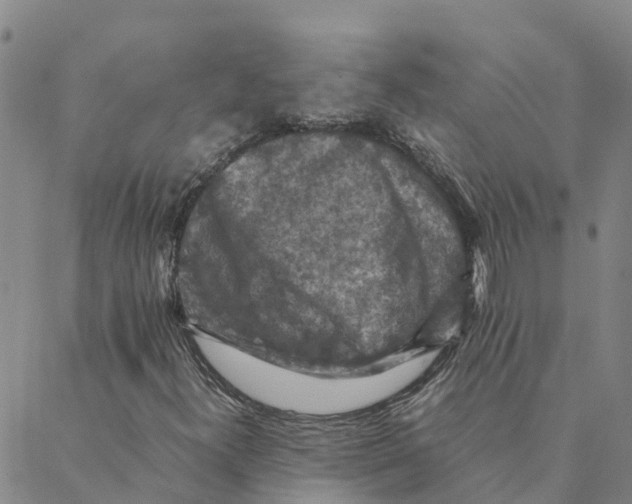 X0000088401300200706191347