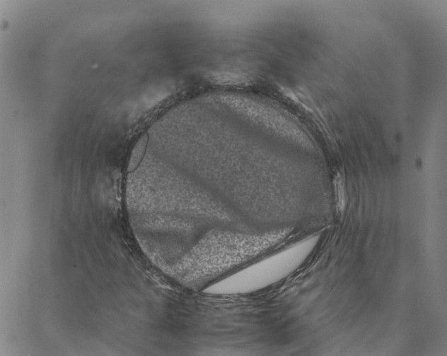 X0000088401301200706191347