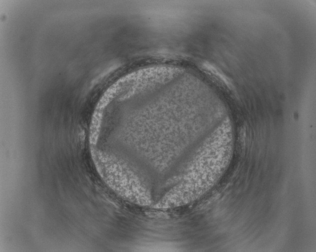 X0000088401302200706191347