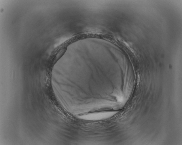 X0000088401303200706191347