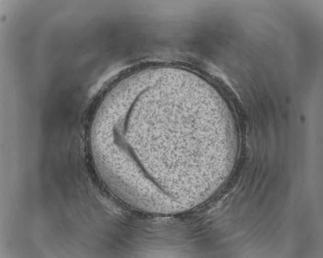 X0000088401304200706191347