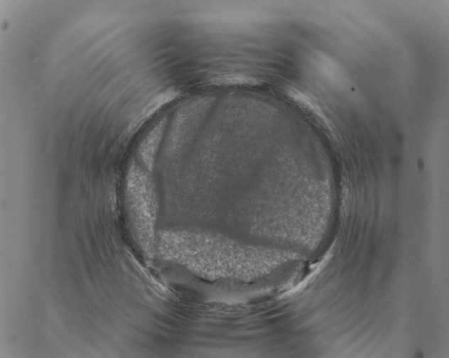 X0000088401305200706191347