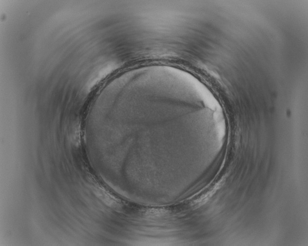 X0000088401306200706191347