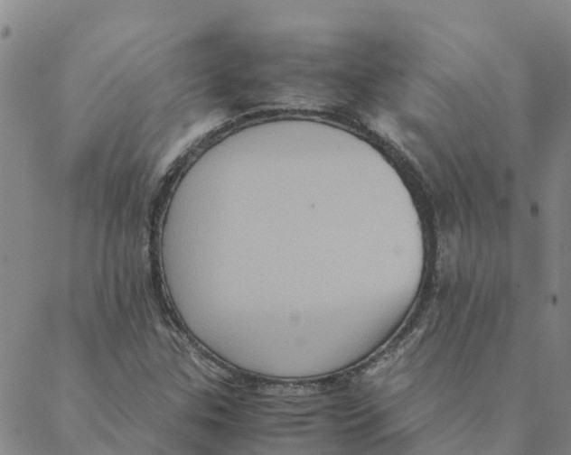 X0000088401307200706191347