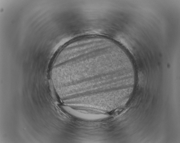 X0000088401308200706191347