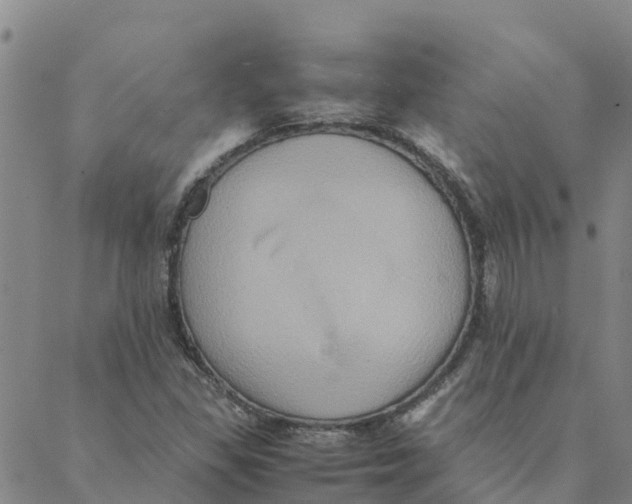 X0000088401309200706191347